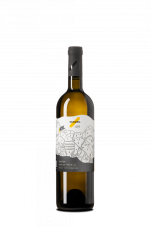 Sauvignon 2022 Frejúnky