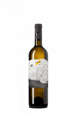 Sauvignon 2022 Frejúnky