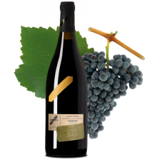 Frankovka 2022 Šmatláky