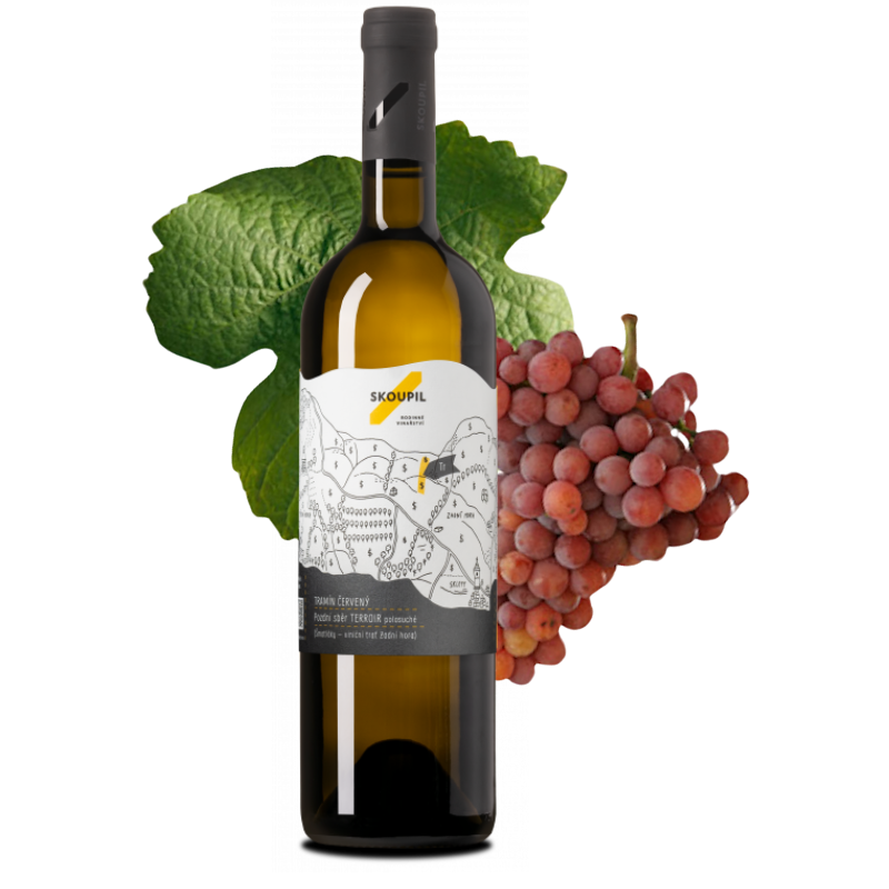 Tramín červený 2024 Úlehle