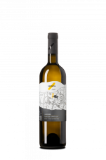 Chardonnay 2022 Přední