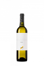 Sauvignon 2024
