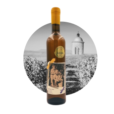 Tramín ~ Babiččine cibéby 2023 History