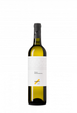 Müller Thurgau 2025