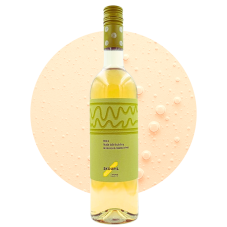 Naše bílé bubliny 2024