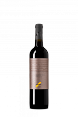 Cabernet Sauvignon 2025