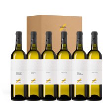 Degustační karton ,,JARNÍ NOVINKY" 2025