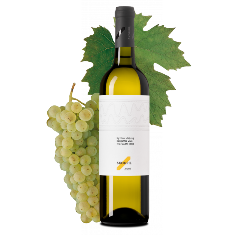 Ryzlink vlašský 2025