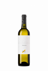 Rivaner 2023, Moravské zemské víno, suché
