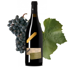 Pinot Noir 2023 Frejúnky