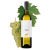 Ryzlink vlašský 2025