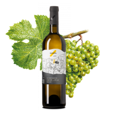 Veltlínské zelené 2023 Šmatláky