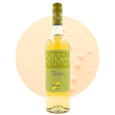 Naše bílé bubliny 2024