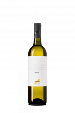 Sauvignon 2024