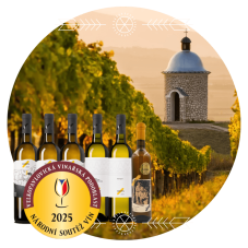 TOP 6  Národní soutěž vín