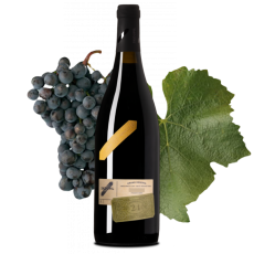 Pinot Noir 2023 Frejúnky