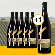 Frankovka 5+1